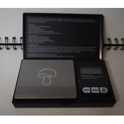 Precision scale