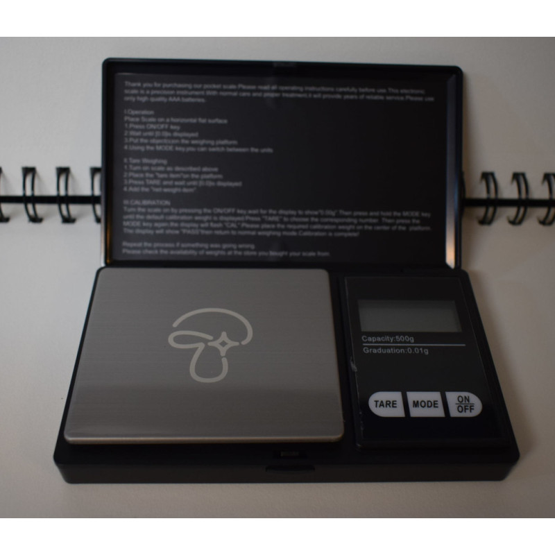 Precision scale