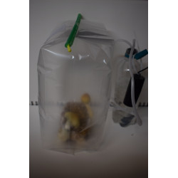 Mushroom grow system equipment