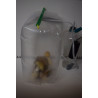 Mushroom grow system equipment