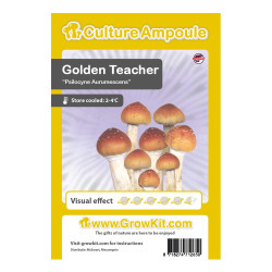 Vials with liquid Magic Mushroom culture