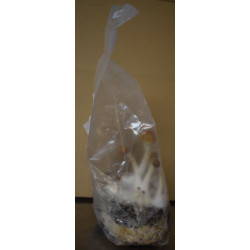 B-Quality 400ccm Grow Bags