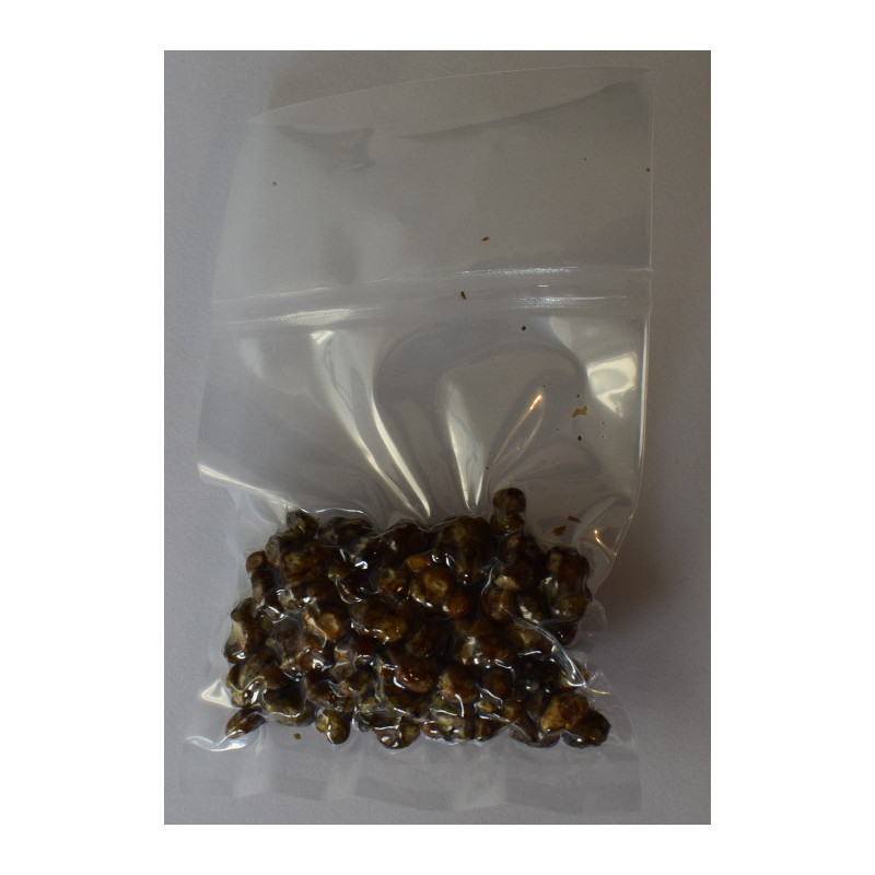 B-Qualität 15g Zaubertrüffelbeutel